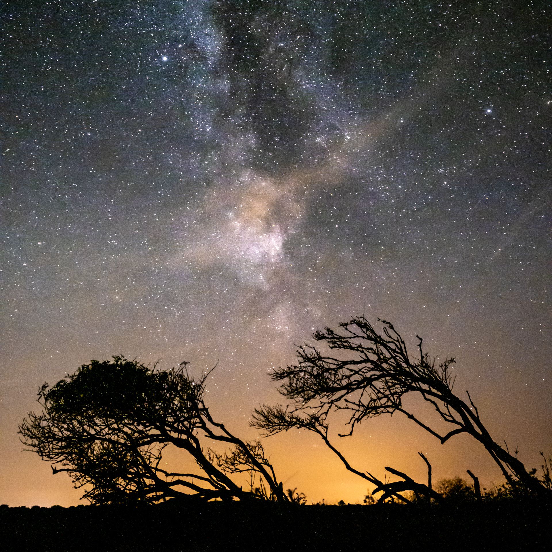 Melkweg op Schiermonnikoog