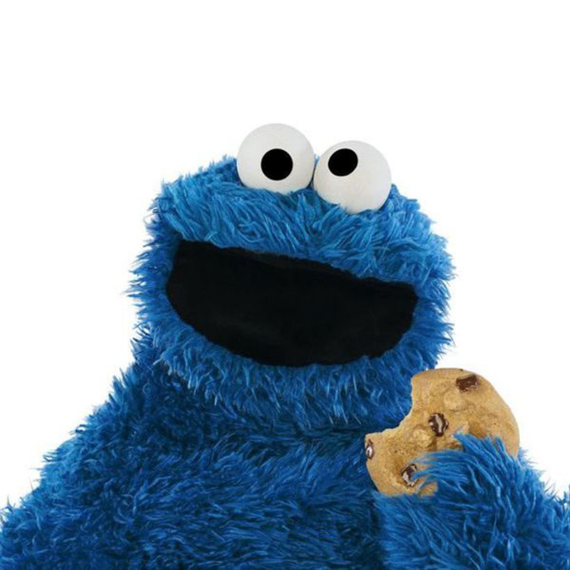 webshop-cookiewet-cookie-beleid